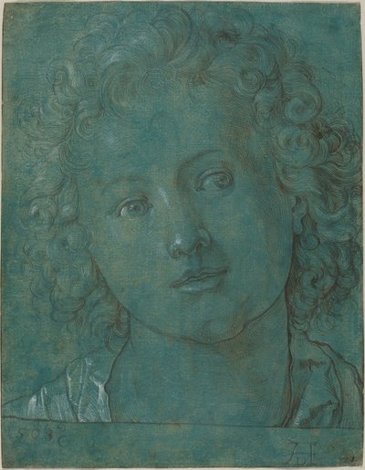 Head of a Boy by Albrecht Dürer